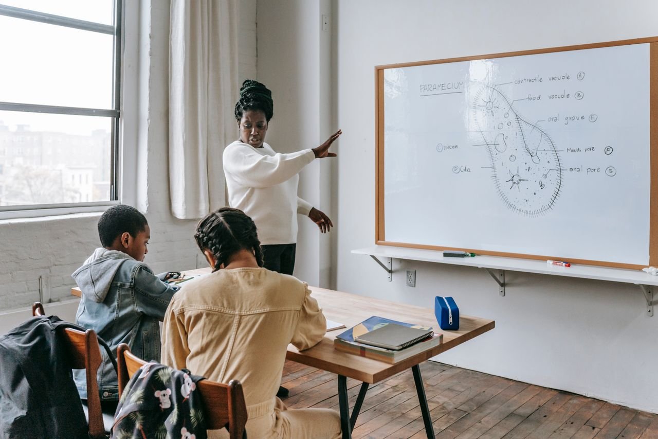 heros-img African American female teacher standing near whiteboard and giving lecture to ethnic teenagers during biology lesson
